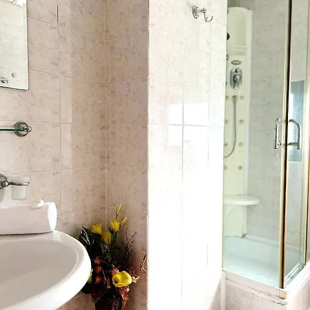 Andreea 艾福雷诺德