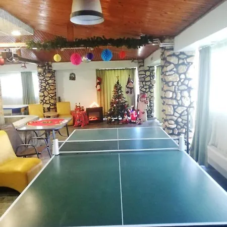 招待所 Andreea 3*